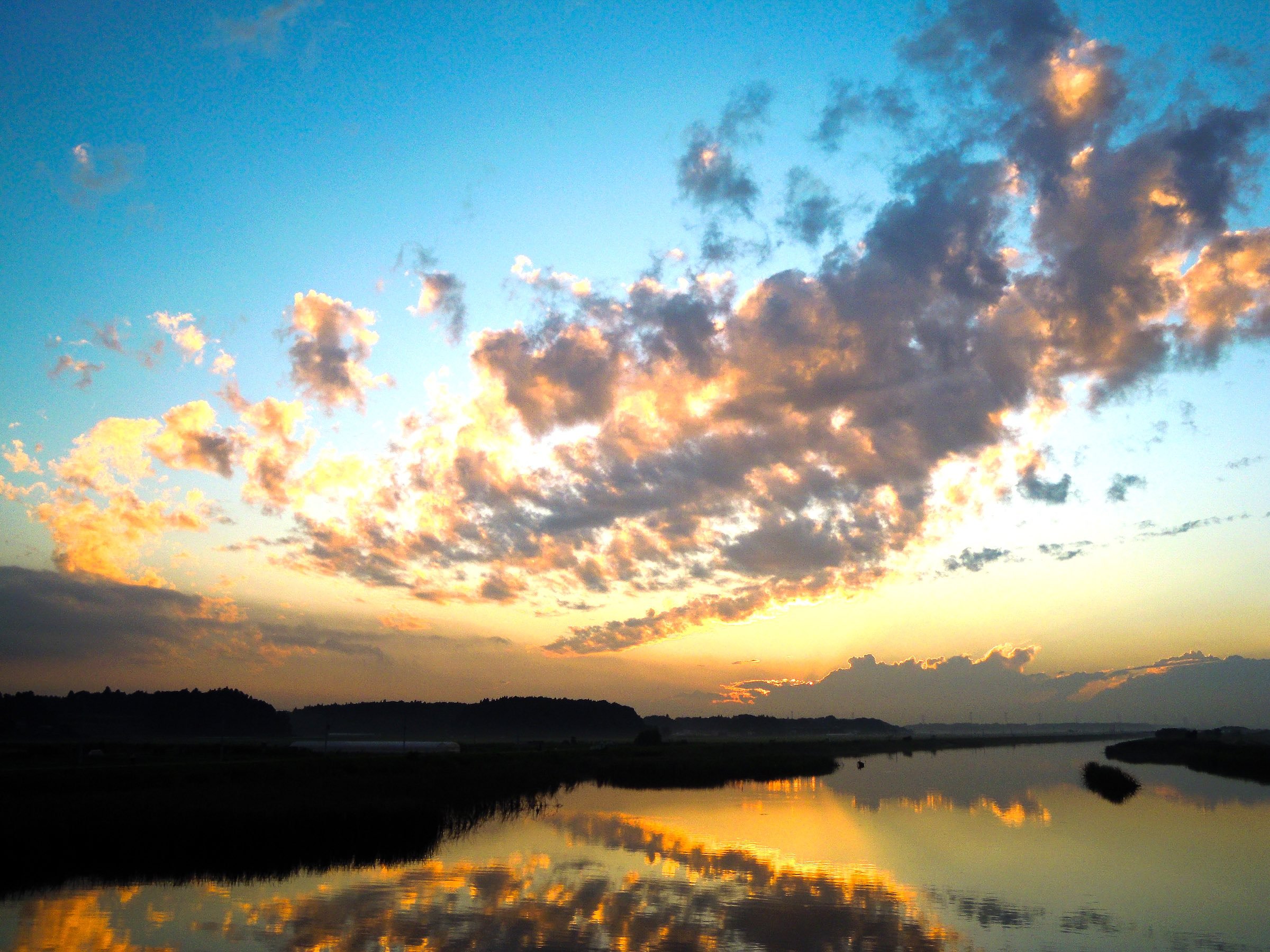 🌳 기타카시와 후루사토 공원 이미지 8